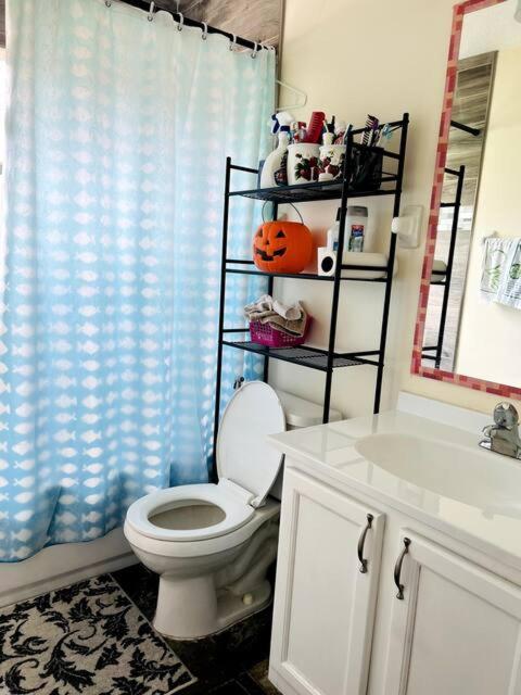 Room In Citrus Park And Carollwood, Close To The Airport & Downtown Tampa Esterno foto