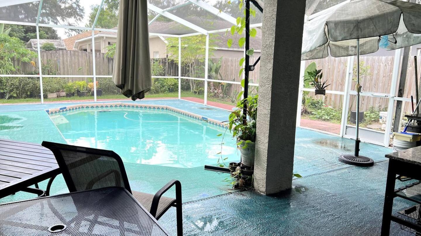 Room In Citrus Park And Carollwood, Close To The Airport & Downtown Tampa Esterno foto