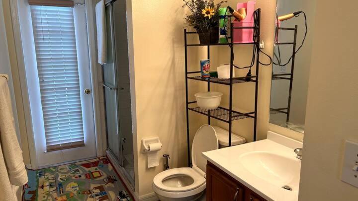Room In Citrus Park And Carollwood, Close To The Airport & Downtown Tampa Esterno foto